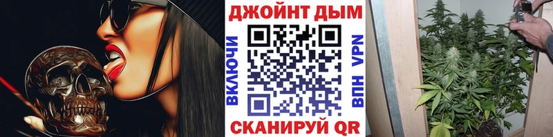 Конопля марихуана Каменногорск